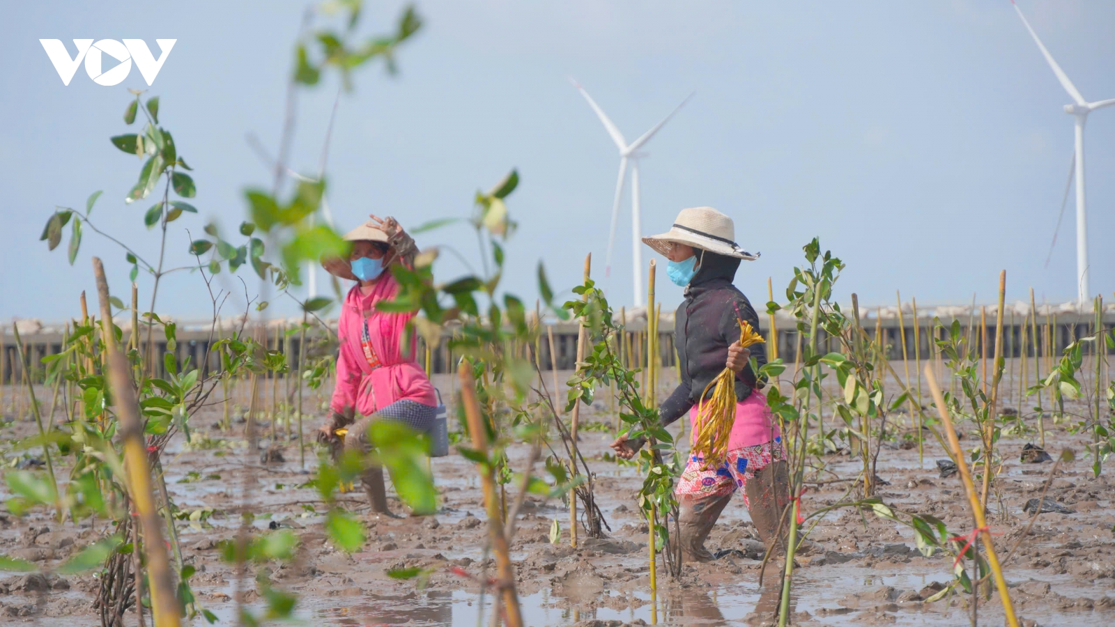 Vùng Châu thổ Cửu Long hướng tới nền kinh tế “Net Zero"